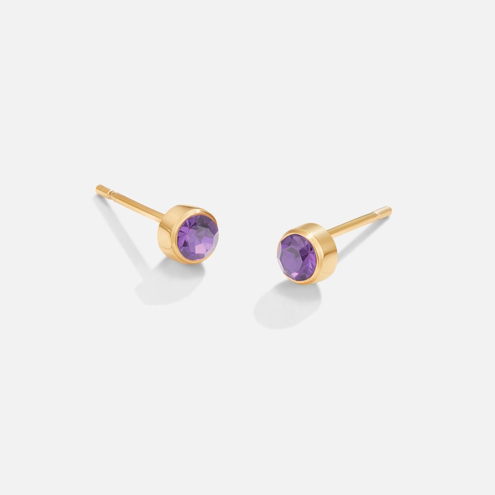 Birthstone Stud Earrings-Earrings-Yiyae-February-Yiyae