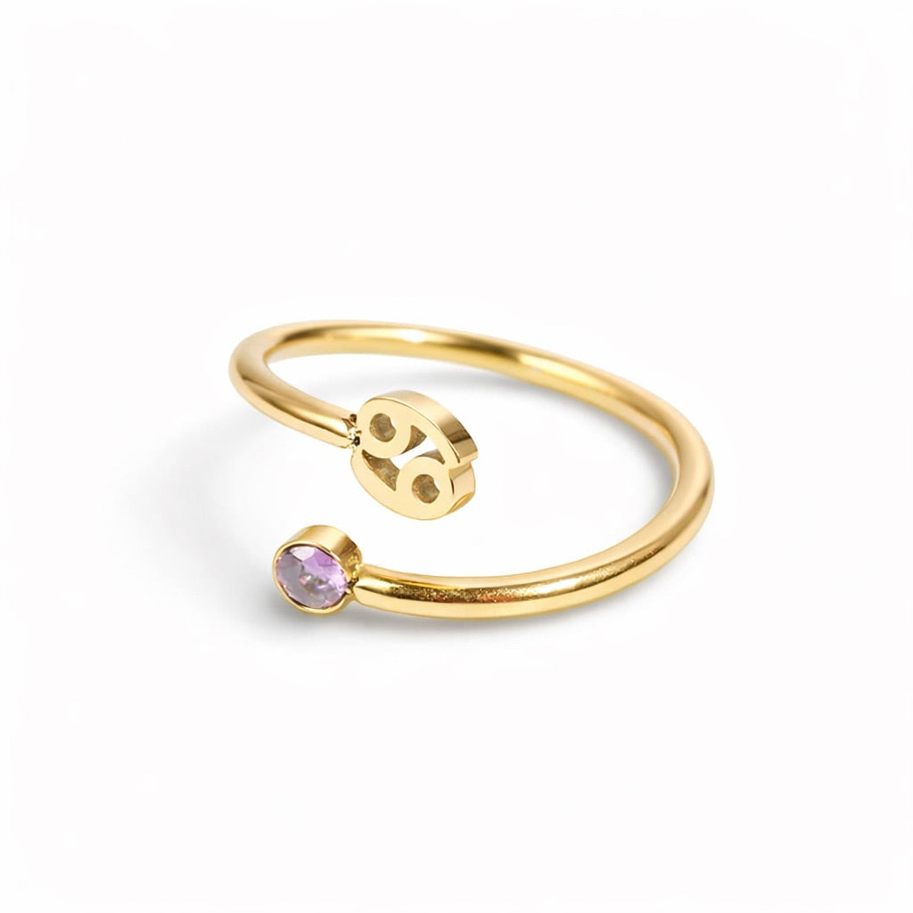 Zodiac Charm Ring-Rings-Yiyae-Yiyae